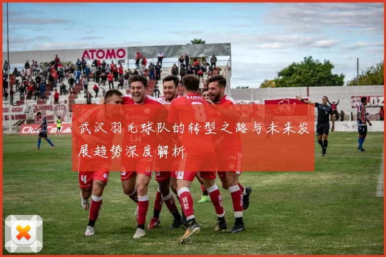 武汉羽毛球队的转型之路与未来发展趋势深度解析
