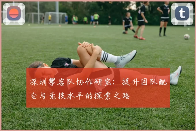 深圳攀岩队协作研究：提升团队配合与竞技水平的探索之路