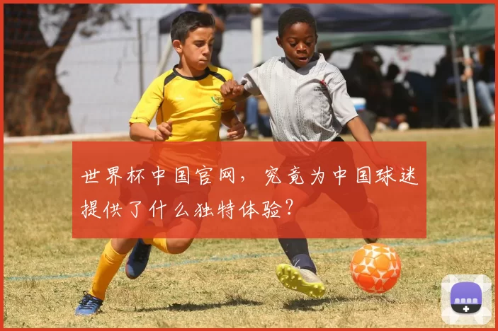 世界杯中国官网，究竟为中国球迷提供了什么独特体验？
