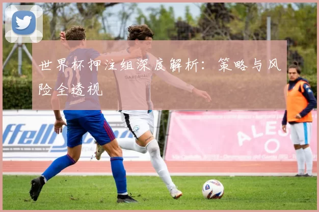 世界杯押注组深度解析：策略与风险全透视