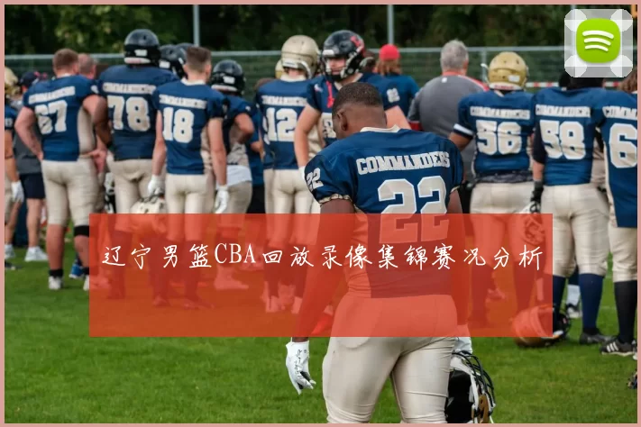 辽宁男篮CBA回放录像集锦赛况分析