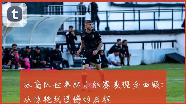冰岛队世界杯小组赛表现全回顾：从惊艳到遗憾的历程