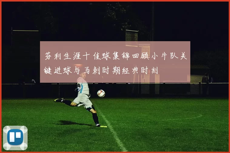 芬利生涯十佳球集锦回顾小牛队关键进球与马刺时期经典时刻