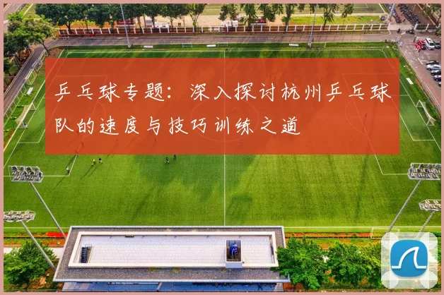 乒乓球专题：深入探讨杭州乒乓球队的速度与技巧训练之道