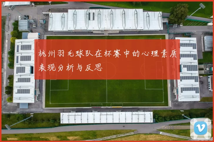 杭州羽毛球队在杯赛中的心理素质表现分析与反思