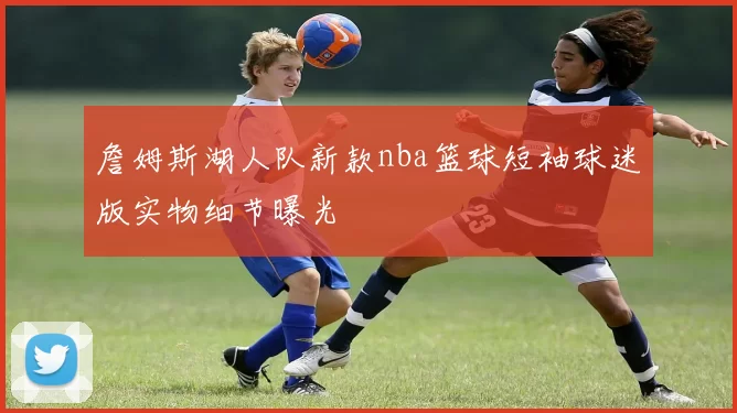 詹姆斯湖人队新款nba篮球短袖球迷版实物细节曝光