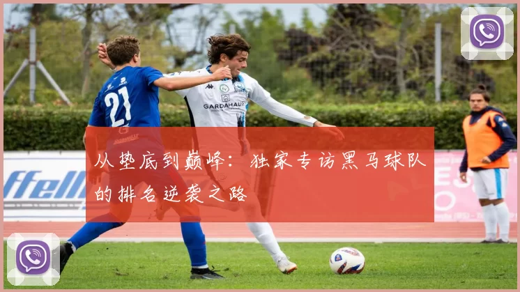 从垫底到巅峰：独家专访黑马球队的排名逆袭之路