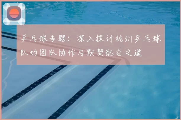 乒乓球专题：深入探讨杭州乒乓球队的团队协作与默契配合之道