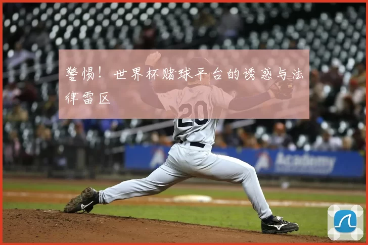 警惕！世界杯赌球平台的诱惑与法律雷区