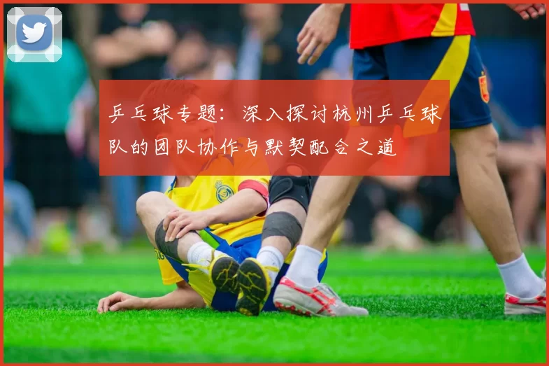 乒乓球专题：深入探讨杭州乒乓球队的团队协作与默契配合之道