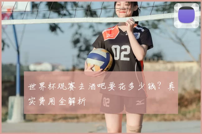 世界杯观赛去酒吧要花多少钱？真实费用全解析