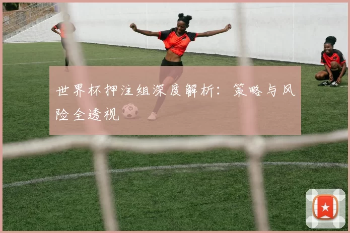 世界杯押注组深度解析：策略与风险全透视
