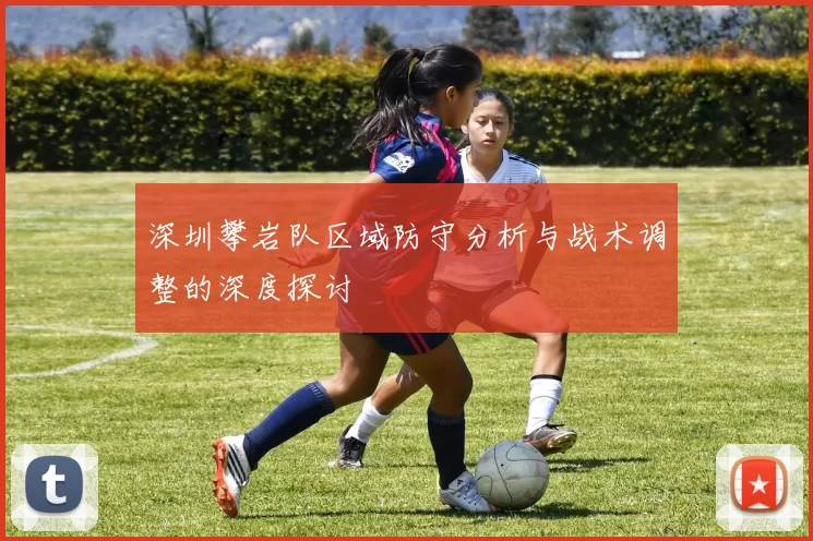 深圳攀岩队区域防守分析与战术调整的深度探讨